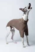 Load image into Gallery viewer, Temperamentvoller Look: Whippet im Fleecepullover in Walnut vor helligem Hintergrund

