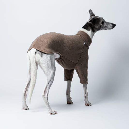 Karma Hund Pullover Walnut: Whippet in ruhiger, aufmerksamer Haltung