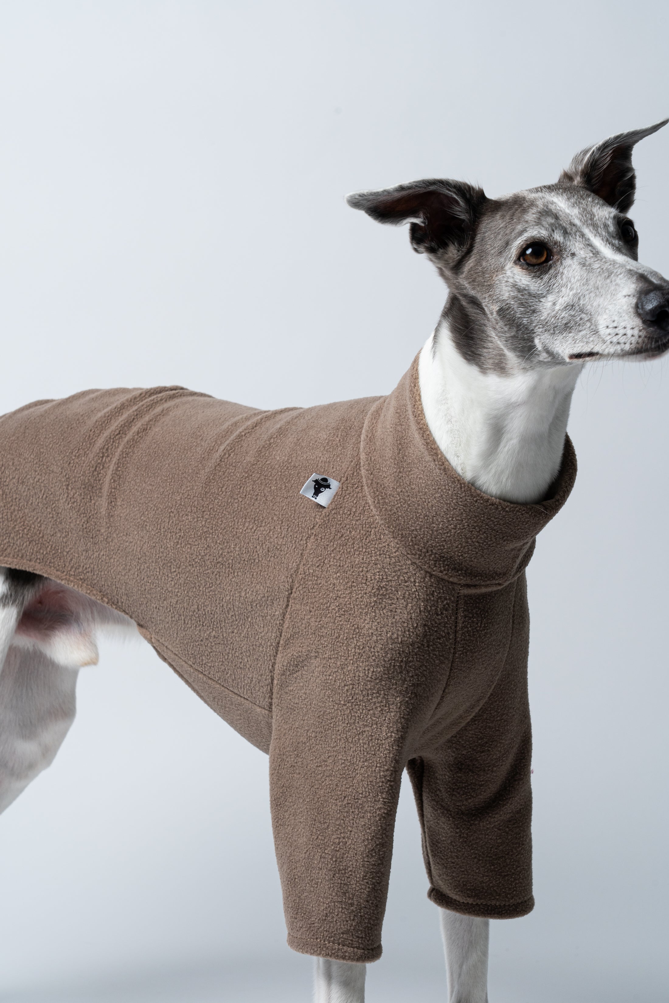 Whippet Seite: Ideal sitzender Pullover in Walnut, Rücken gerade, Beine entspannt