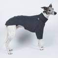 Load image into Gallery viewer, Whippet präsentiert Windhund-Pullover in Graphite vor weißem Hintergrund – schlicht, funktional, stilvoll

