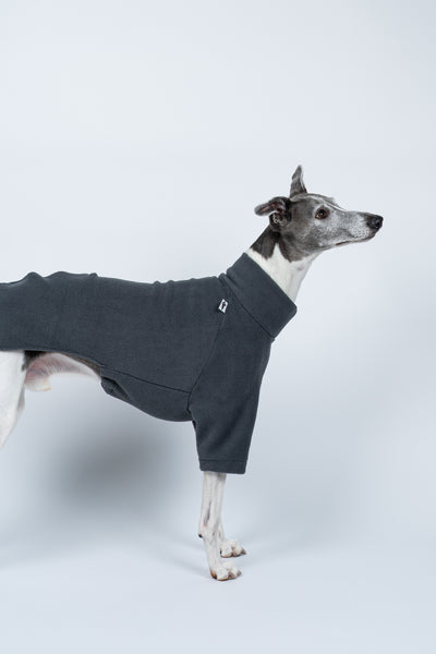 Whippet im Profil trägt Fleecepullover in Graphite – ergonomischer Schnitt für Windhundkörper