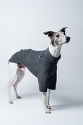 Load image into Gallery viewer, Whippet frontal im Fleecepullover in Graphite – ideal für kühlere Tage und empfindliche Hunde
