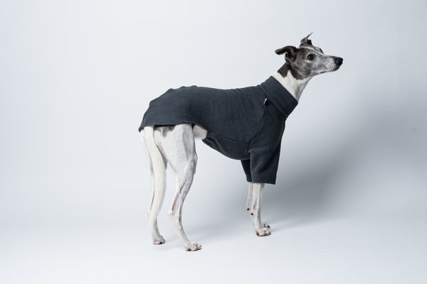 Handgefertigter Windhundpullover in Graphite – Whippet präsentiert schlichten Look mit Funktion
