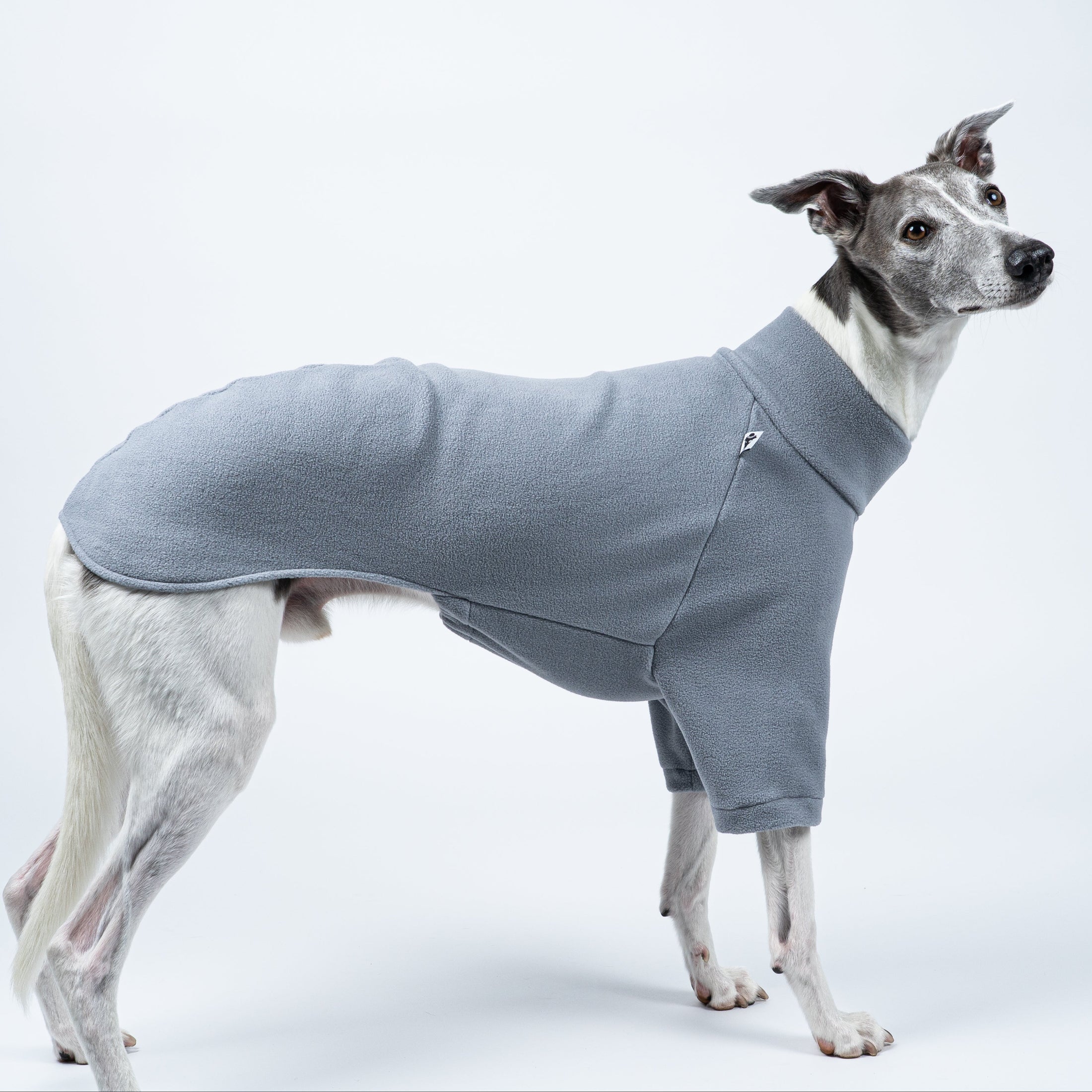 Whippet präsentiert Windhund-Pullover in Light Grey vor weißem Hintergrund – schlicht, weich und funktional