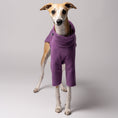 Load image into Gallery viewer, Whippet in Hundepullover aus Polar Fleece in Violet - Made in Germany
