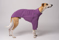 Load image into Gallery viewer, Seitenansicht Whippet in Fleece Hundepullover in Violet handgefertigt in Berlin
