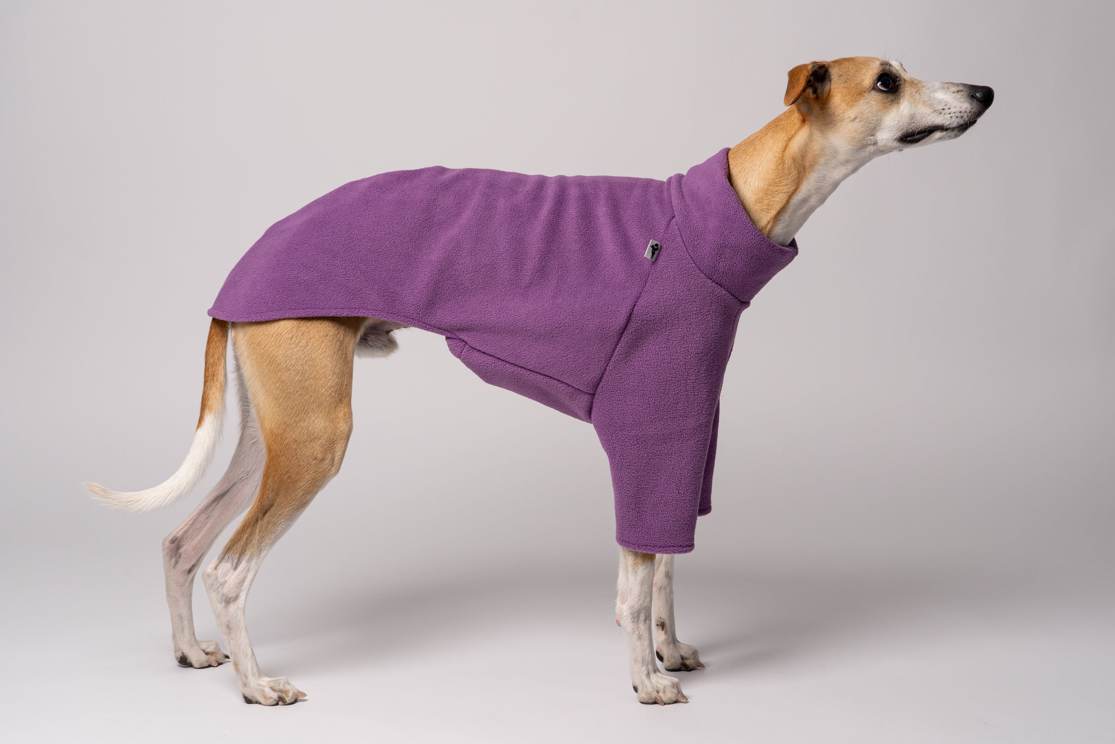Seitenansicht Whippet in Fleece Hundepullover in Violet handgefertigt in Berlin