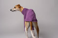 Load image into Gallery viewer, Detailansicht - weiches Fleece Pullover für Whippets mit Liebe in Berlin handgefertigt
