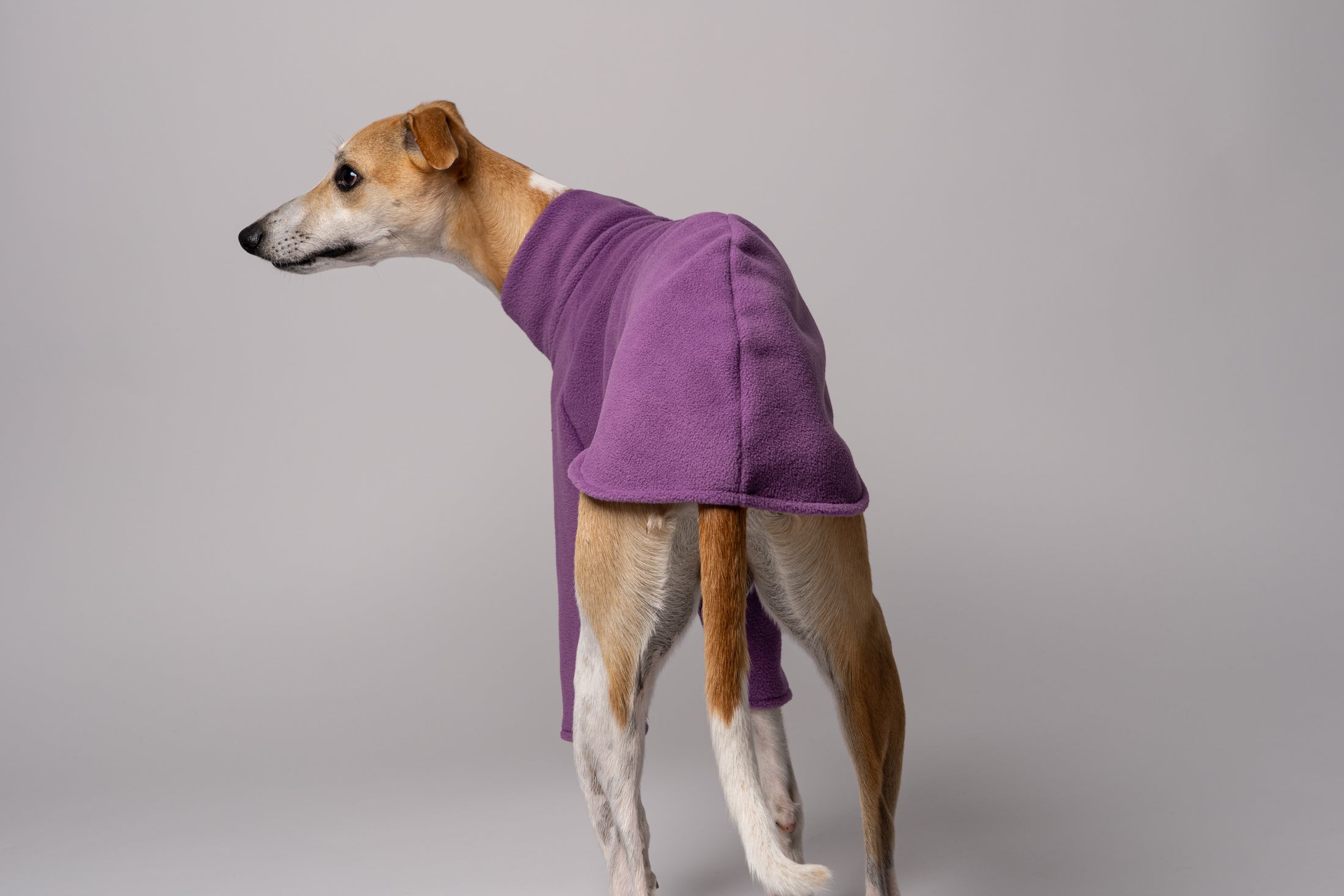 Detailansicht - weiches Fleece Pullover für Whippets mit Liebe in Berlin handgefertigt