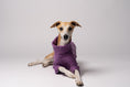 Load image into Gallery viewer, Whippet im Liegen - bequemes Long Shirt in Violet für Whippets und Windhunde
