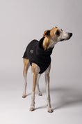 Load image into Gallery viewer, Whippet im Long Shirt in Schwarz – stilvolle Windhundmode und bequemer Passform
