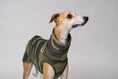 Load image into Gallery viewer, Windhundmode mit Statement: Camouflage-Shirt am Whippet Rüden
