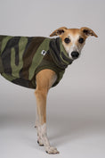 Load image into Gallery viewer, Junger Whippet im auffälligen Camo Long Shirt – ideal für graue Tage
