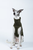 Load image into Gallery viewer, Whippet im Long Shirt Dark Olive – ergonomische Passform bleibt auch im Liegen bequem
