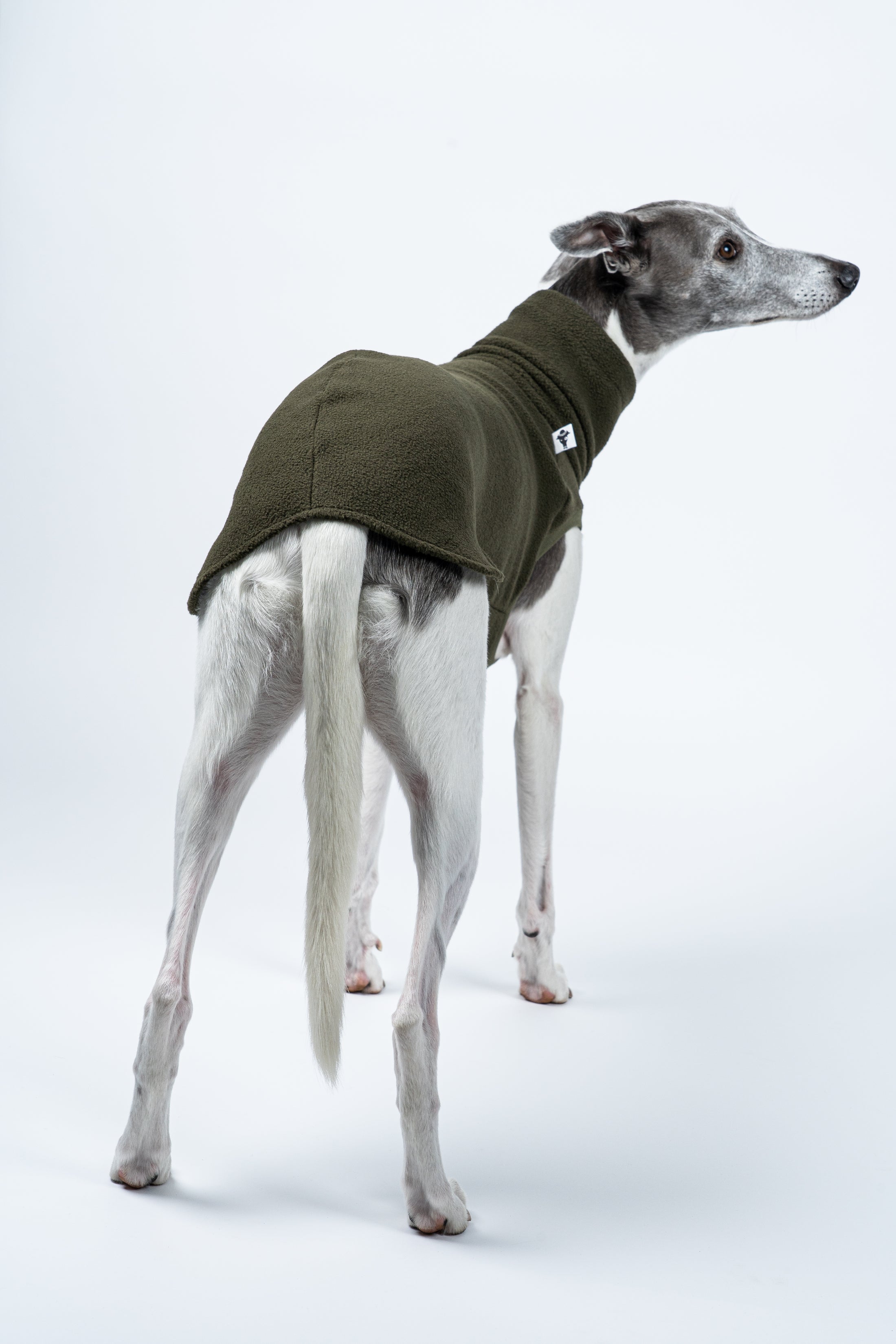 Whippet im Long Shirt in Dark Olive – dezente Farbe, klare Passform, hoher Tragekomfort