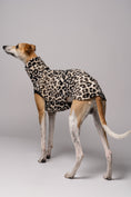Load image into Gallery viewer, Whippet im Long Shirt in Leo – stilvolle Windhundmode mit wildem Muster und bequemer Passform
