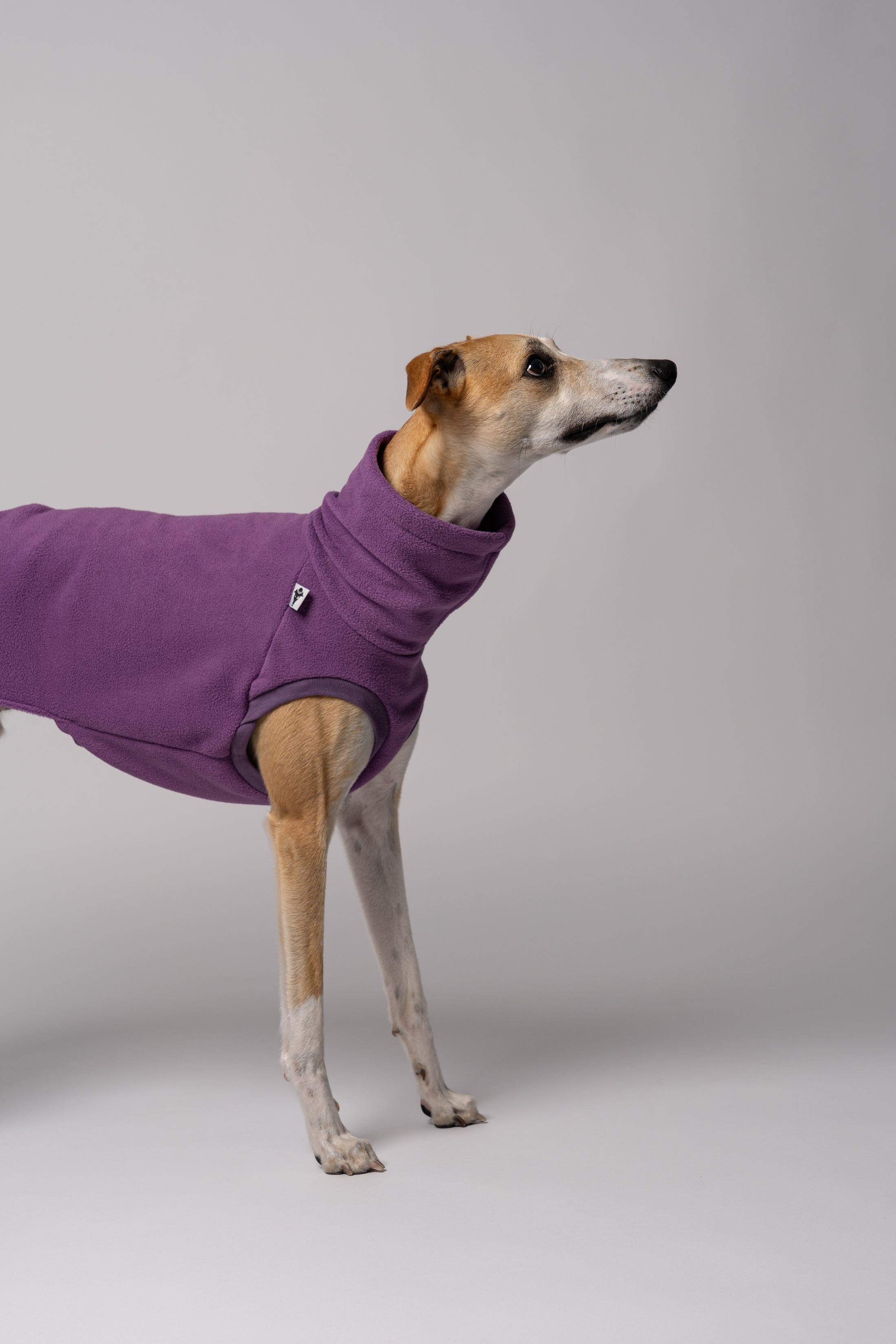 Whippet im ärmellosen Long Shirt – idealer Schnitt für maximale Bewegungsfreiheit