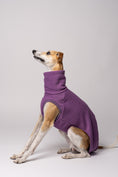 Load image into Gallery viewer, Whippet mit bequemem Fleece-Pullover – atmungsaktive, warme Kleidung für Windhundrassen
