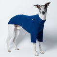 Load image into Gallery viewer, Junger Whippet Rüde frontal im Fleecepullover in Navy – perfekt geschnitten für Windhund-Proportionen

