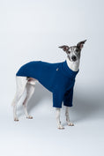 Load image into Gallery viewer, Whippet präsentiert Windhund-Pullover in Navy vor weißem Hintergrund – schmaler Schnitt, mittelhoher Kragen
