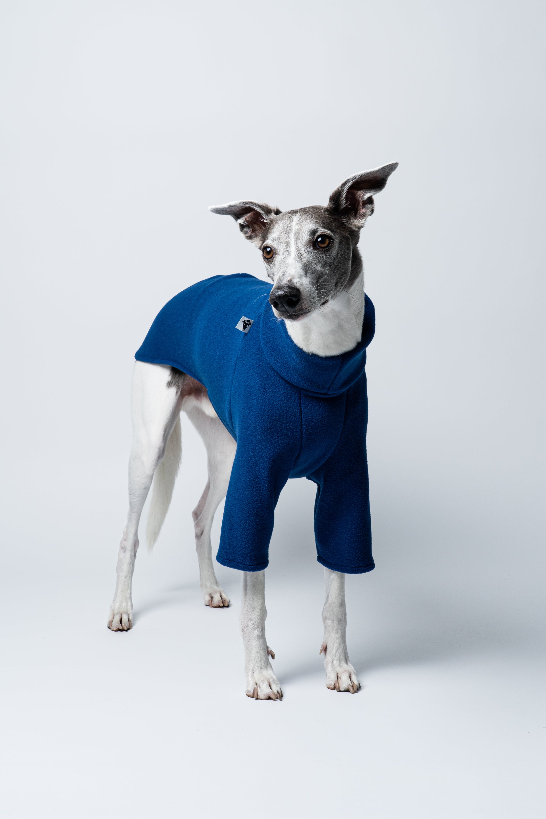 Formschöner Fleece-Pullover in Navy an einem stehenden Whippet – stilvoll und wärmend zugleich