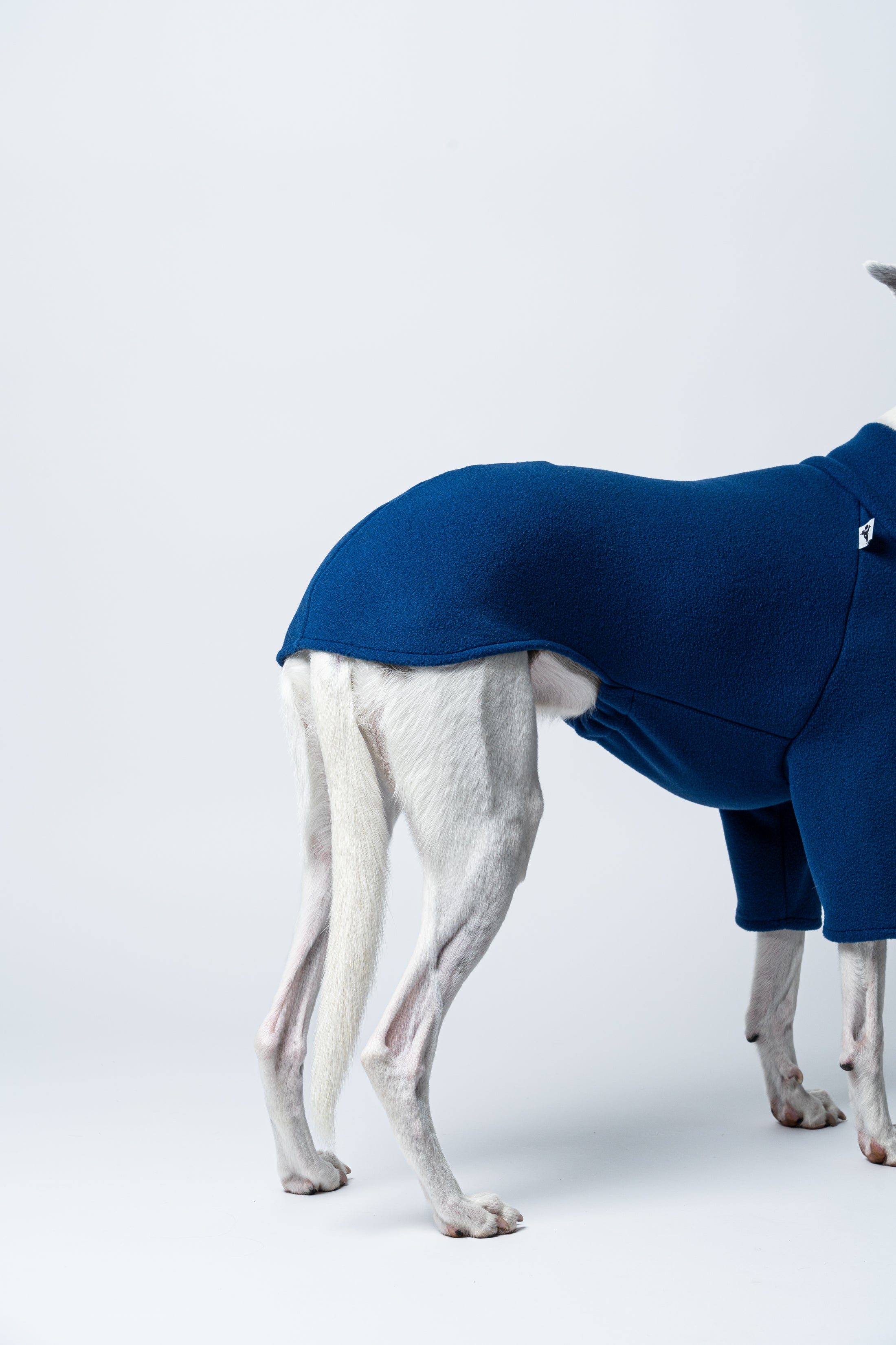 Whippet präsentiert körperbetonten Windhund-Pullover aus navyblauem Fleece – Seitenansicht