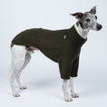 Load image into Gallery viewer, Stehender Whippet im Fleecepullover in Dunkeloliv – perfekter Sitz für die schmale Windhundfigur
