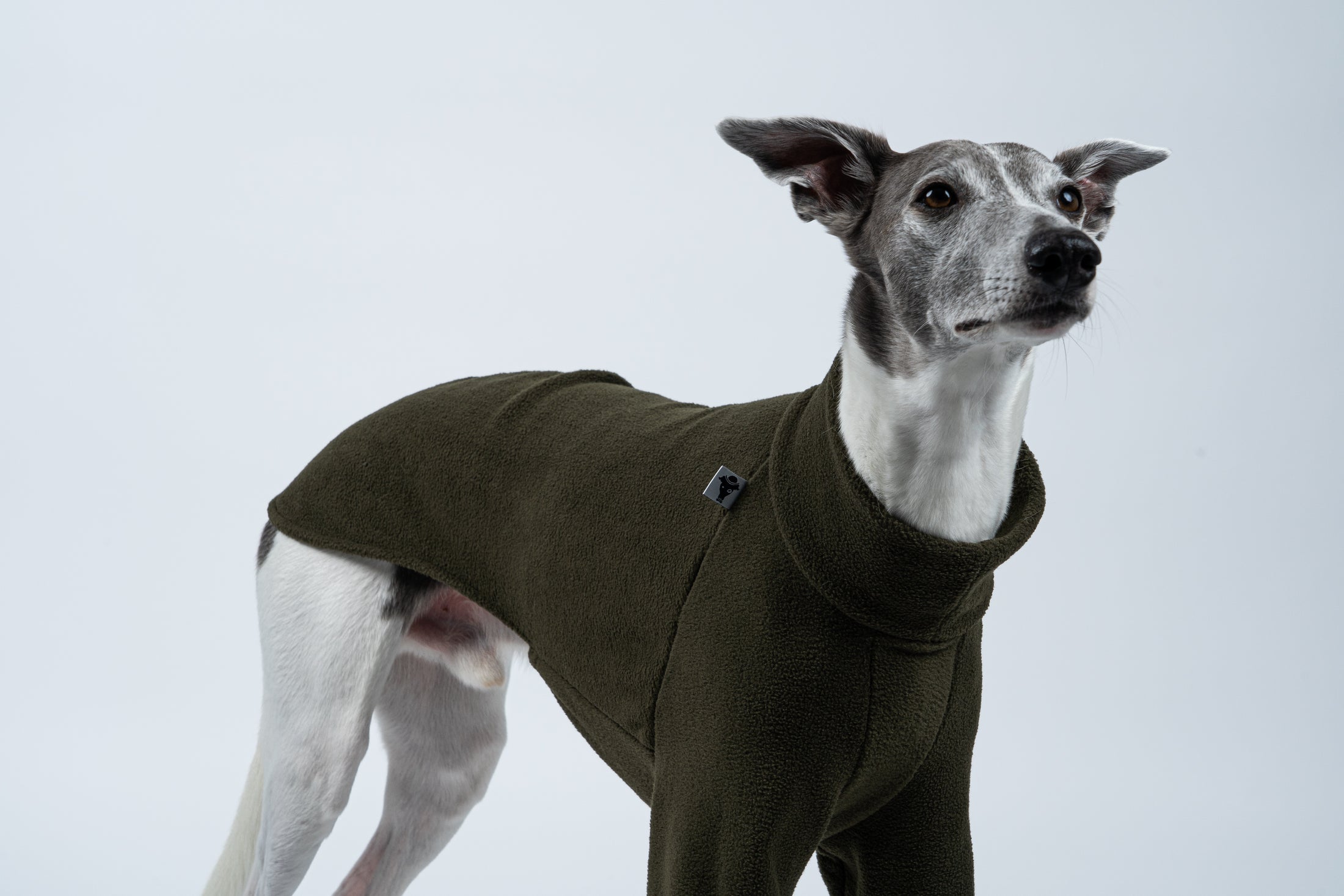 Warm und elegant: Whippet frontal im Fleece-Pullover in Dark Olive – weich und bewegungsfreundlich