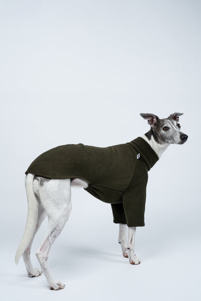 Seitlich stehender Whippet im Fleecepullover in Dark Olive – schlankes Design für Windhund-Proportionen