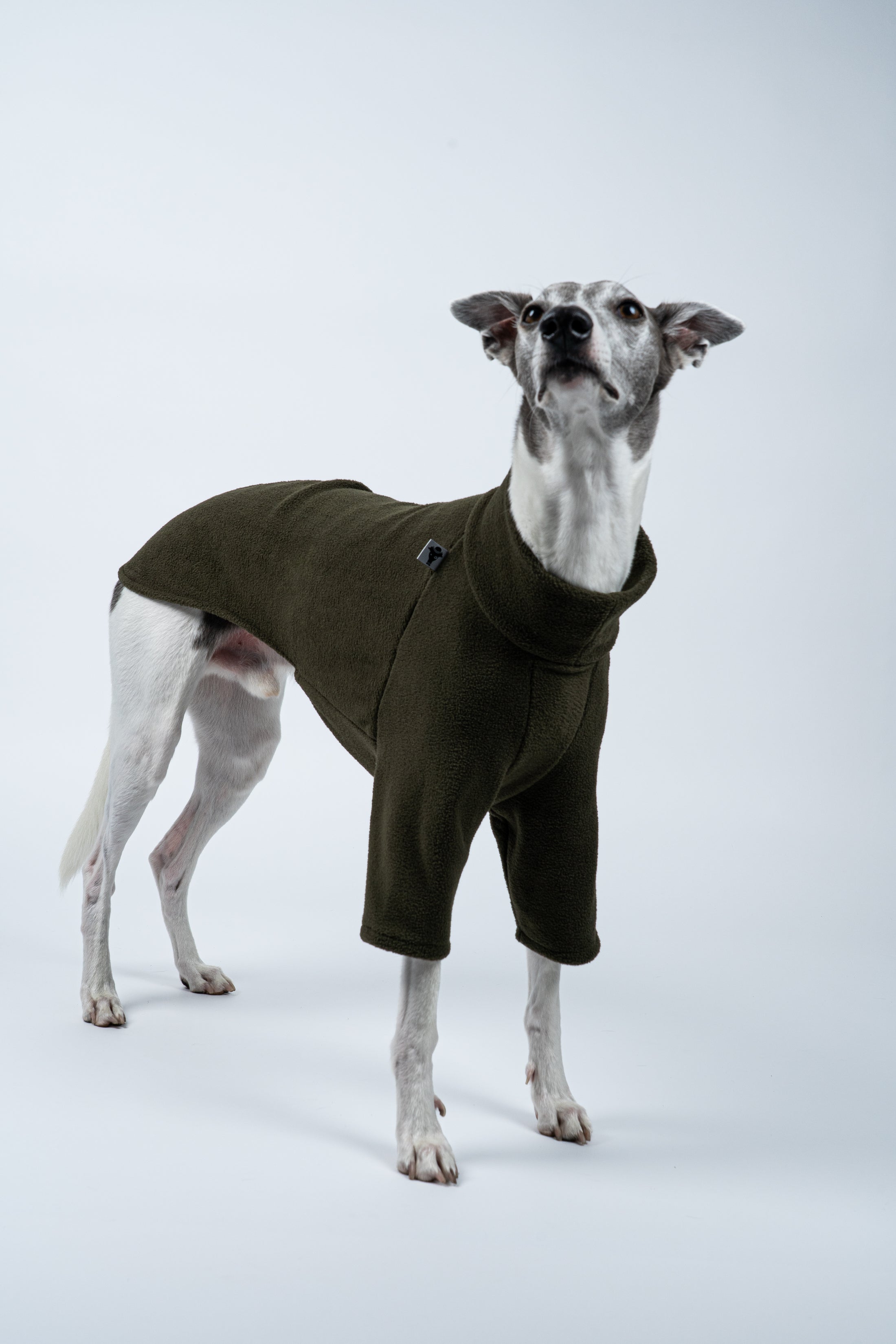 Profilaufnahme: Windhund zeigt körpernahen Fleecepullover in Dark Olive – ideal für kühle Tage