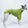 Load image into Gallery viewer, Whippet trägt Windhund-Pullover in Light Green vor weißem Hintergrund – funktional und stilvoll
