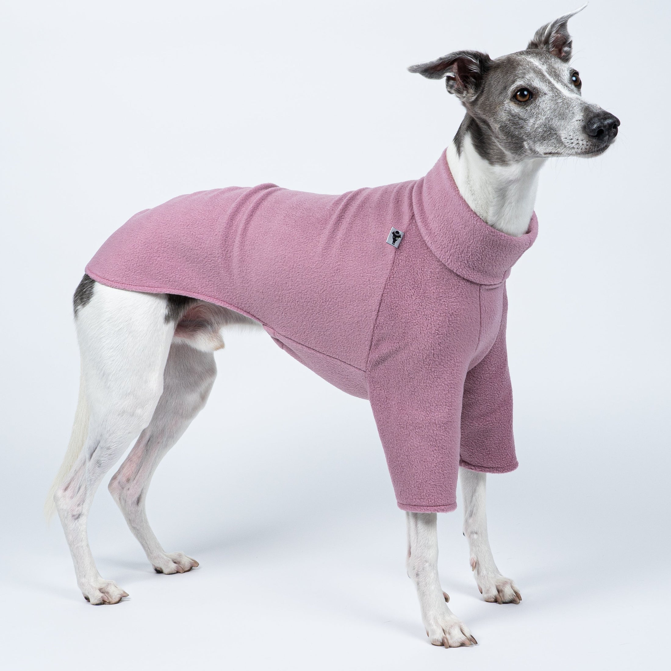Fleece-Pullover in Mulberry an einem stehenden Whippet – bequemer Sitz für schmale Silhouetten