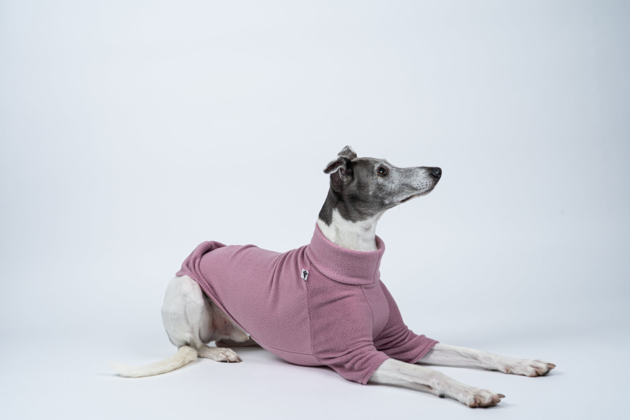 Liegender Whippet im gemütlichen Fleecepullover in Mulberry – weich und wärmend