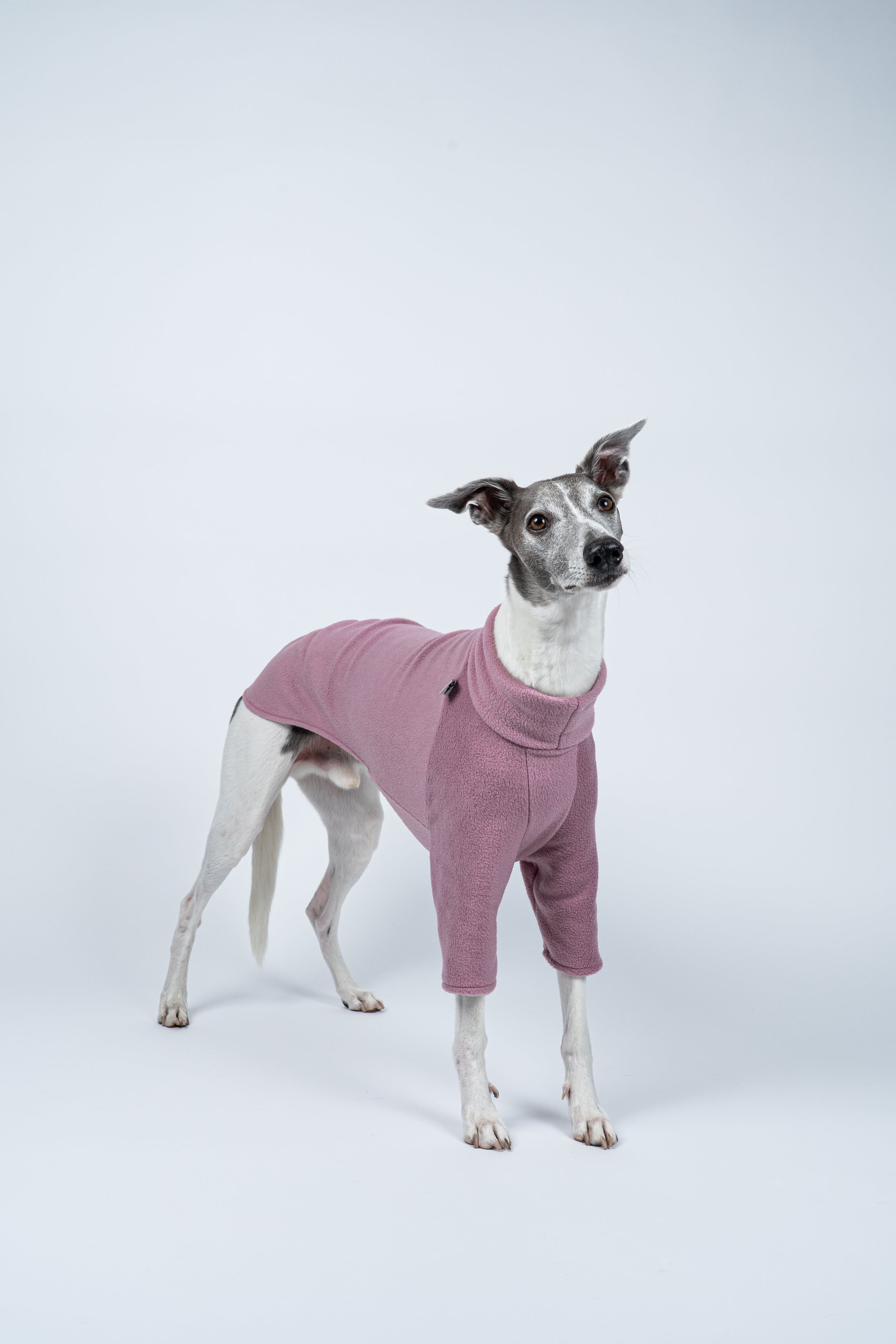 Fleece-Pullover in Mulberry an einem stehenden Whippet – bequemer Sitz für schmale Silhouetten