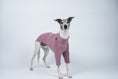 Load image into Gallery viewer, Windhundmode in zartem Mulberry – Whippet steht elegant im rosafarbenen Fleecepullover
