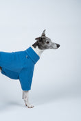 Load image into Gallery viewer, Whippet im weichen Sky Blue-Fleece – figurnah, leicht und ideal für Übergangszeiten
