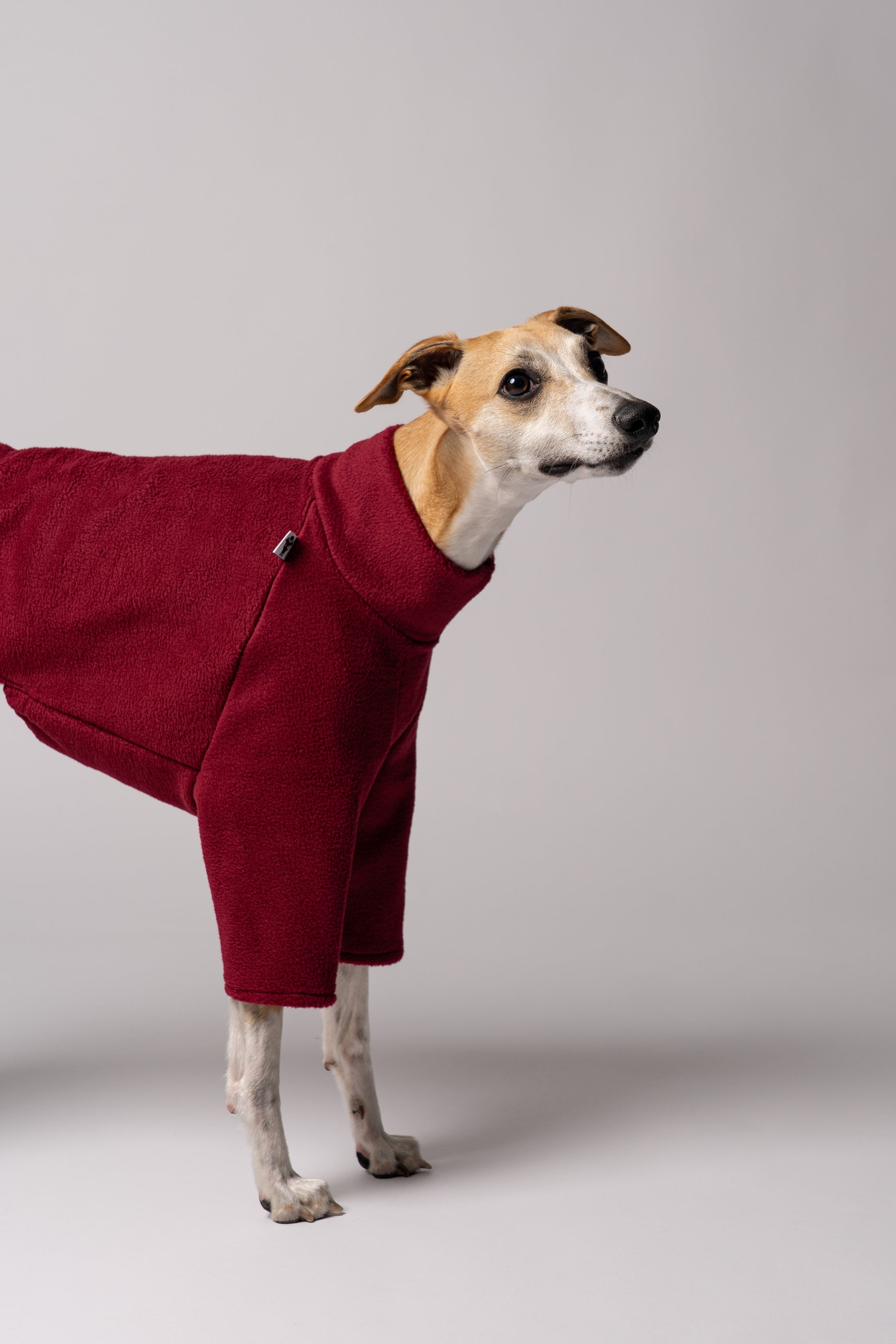 Detailansicht - Whippet trägt Hundepullover aus Fleece handgefertigt in Berlin