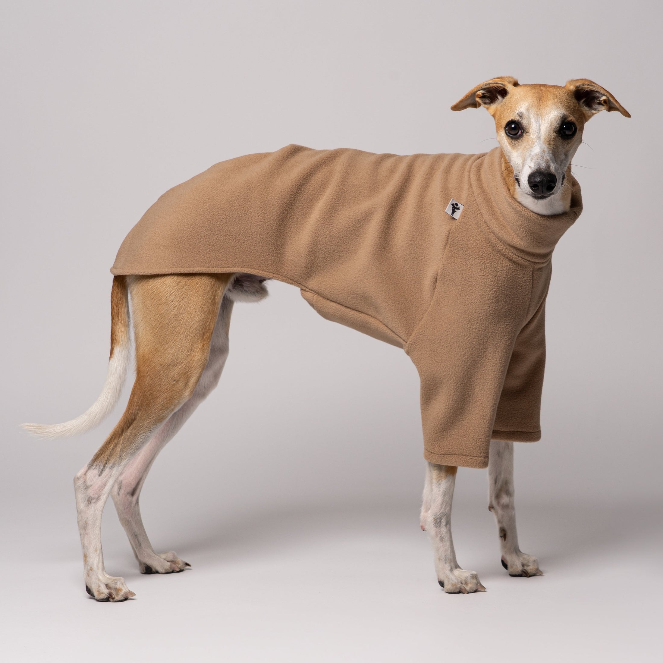 Seitenansicht - Whippet in bequemen Fleece Pullover Made in Germany