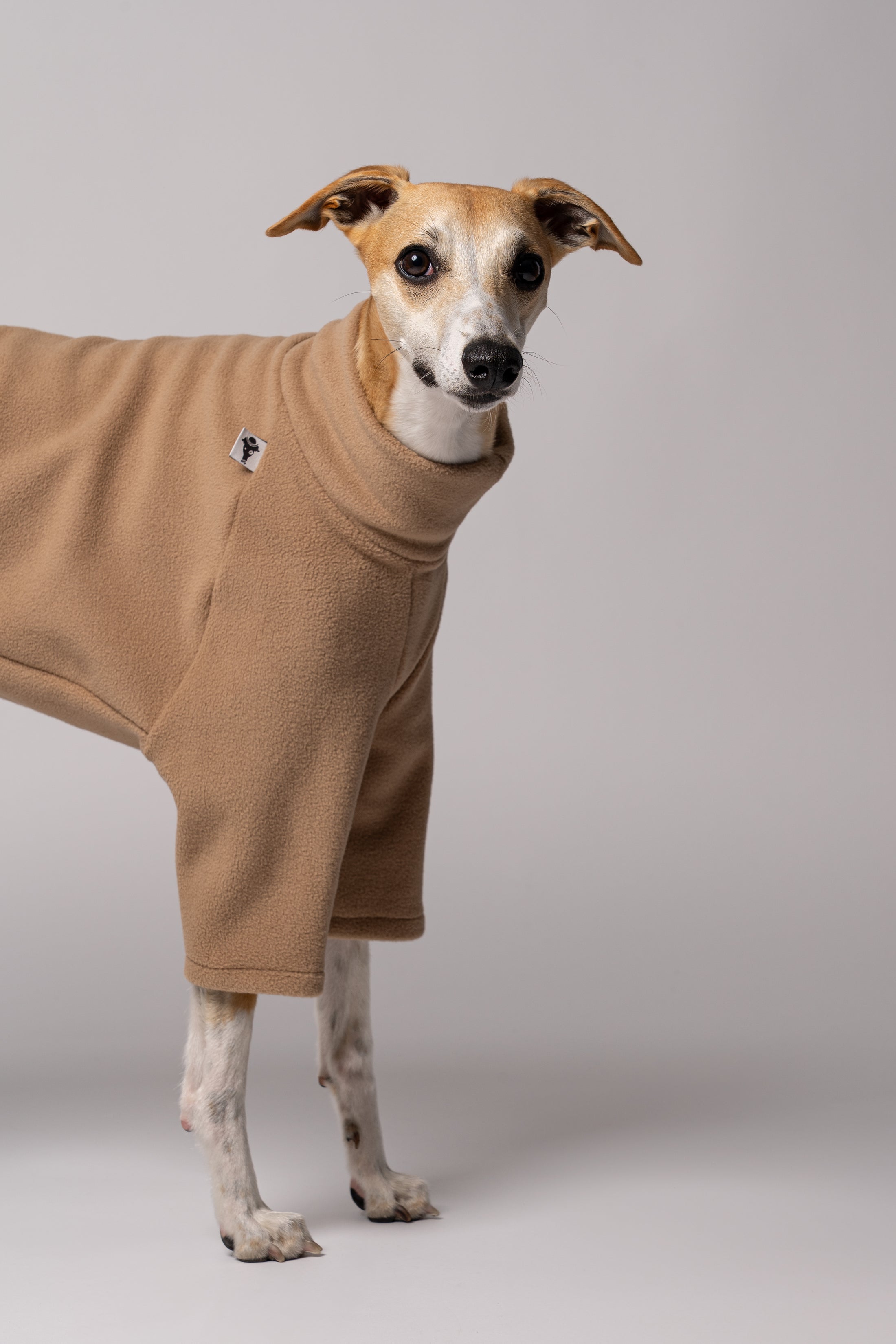 Detailansicht - Whippet in Hundepullover aus weichem und robustem Polar Fleece Made in Germany