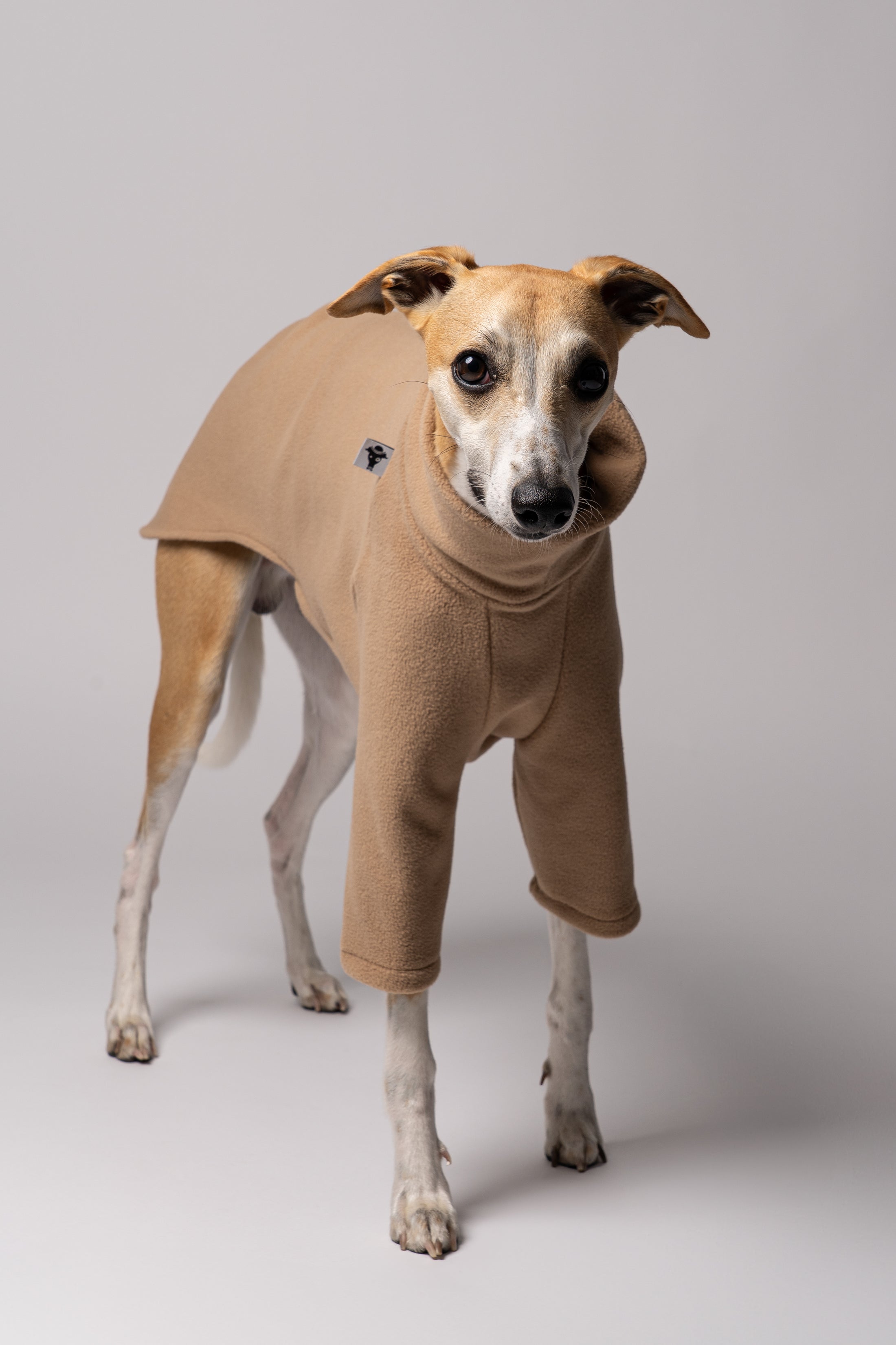 Ansicht von vorne - Hundepullover für Windhunde mit schmale Taille und langem Rücken