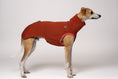 Load image into Gallery viewer, Stylisch & gemütlich: Whippet trägt Long Shirt in Terracotta
