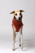 Load image into Gallery viewer, Windhundkleidung in Erdtönen – Terracotta Sweatshirt für elegante Whippets
