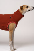 Load image into Gallery viewer, Stylisch & gemütlich: Whippet trägt Long Shirt in Terracotta
