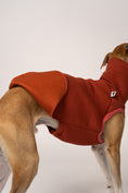 Load image into Gallery viewer, Terracotta Long Shirt in Detail – perfekter Sitz am jungen Whippet
