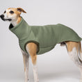 Load image into Gallery viewer, Whippet im Matcha Long Shirt – zarter Grünton auf weißem Hintergrund
