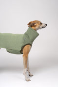Load image into Gallery viewer, Frischer Look für Windhunde: Whippet trägt Baumwollfleece-Shirt in Matcha
