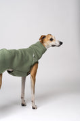 Load image into Gallery viewer, „Whippet im pastellgrünen Baumwollfleece – bequeme Kleidung für kalte Tage
