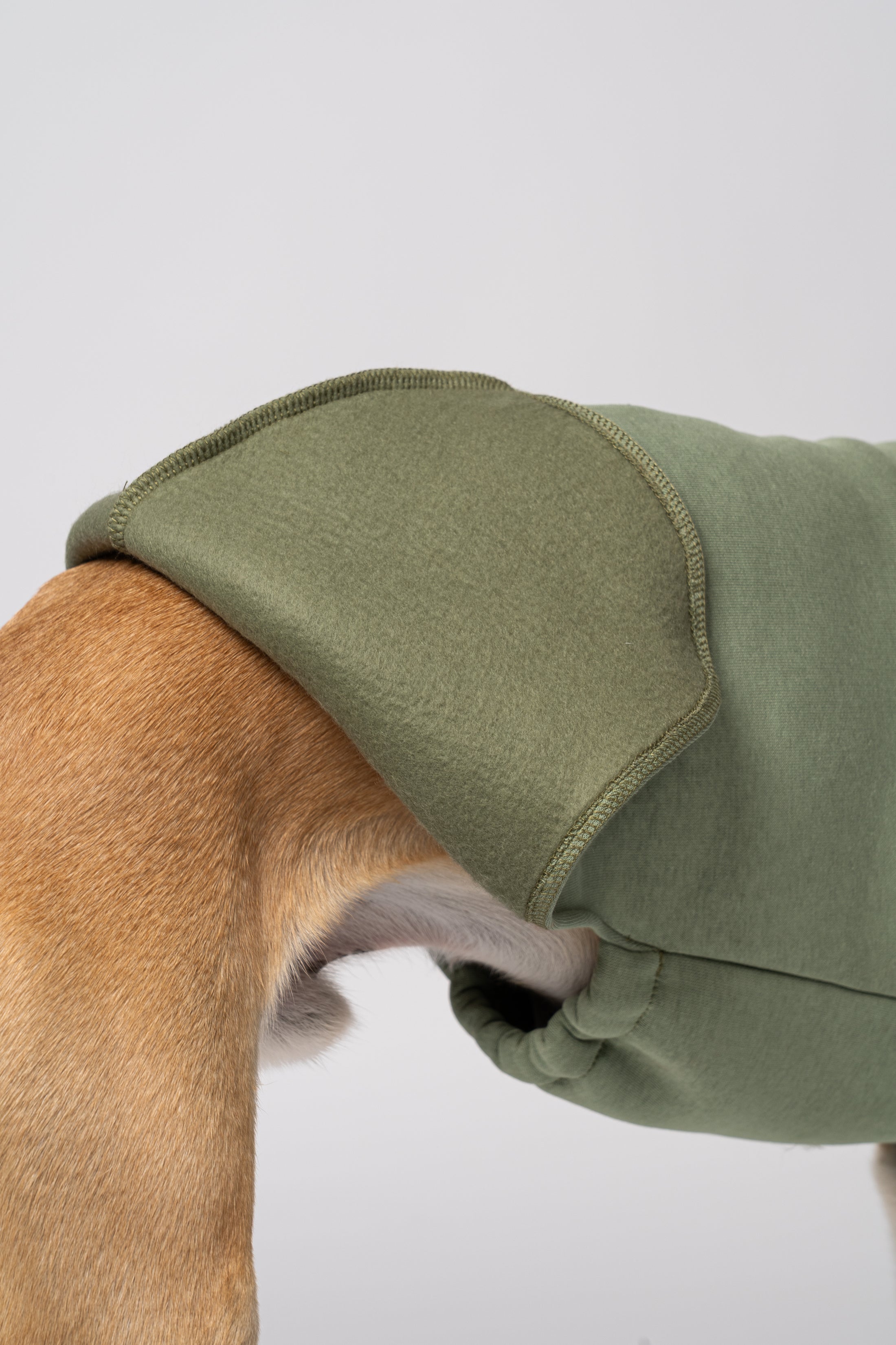 Detailaufnahme Matcha Sweatshirt Innen Außen Vergleich auf Whippet
