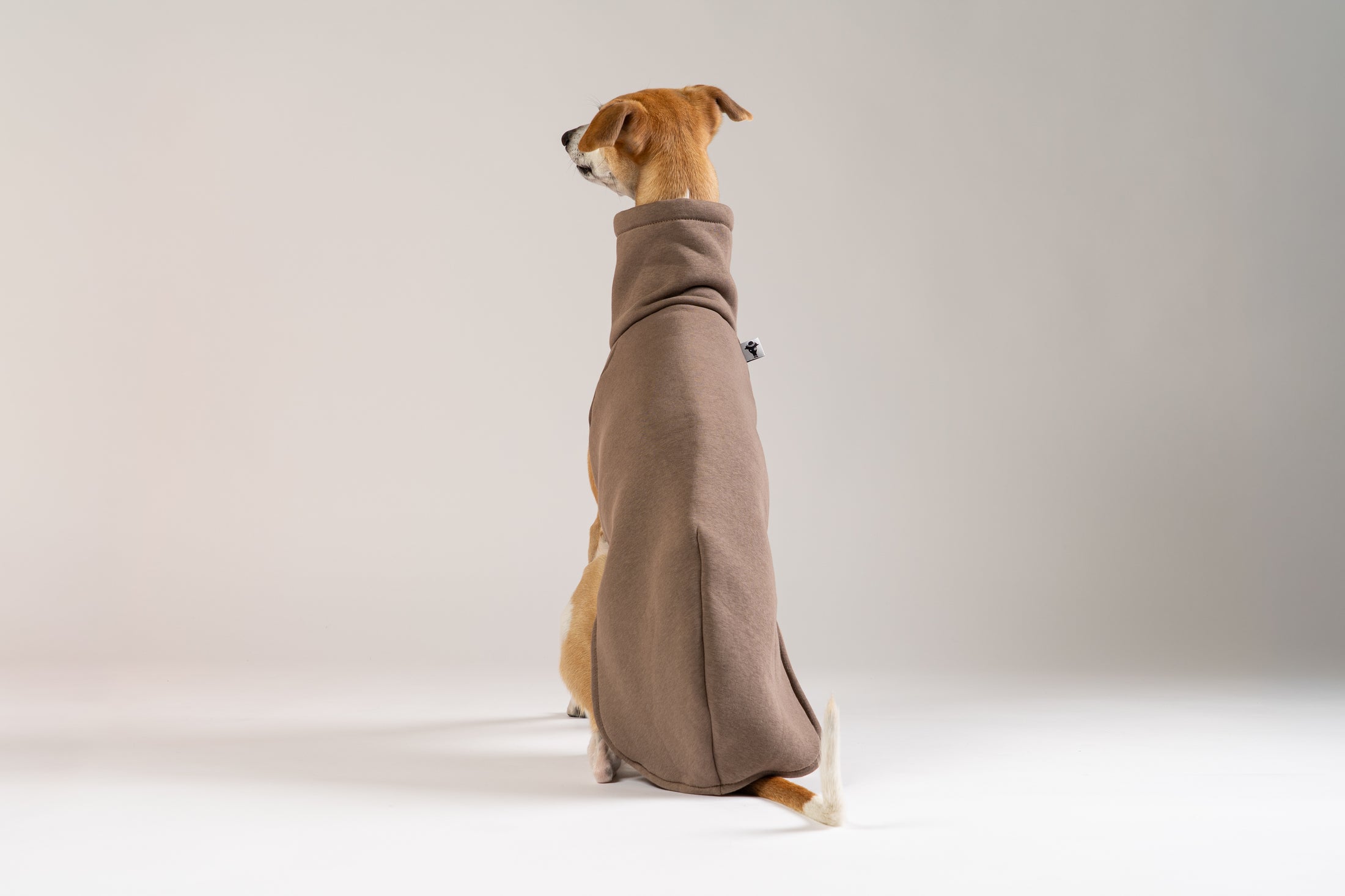 Whippet im braunen Karma-Hund Pullover – gemütlich, funktional und stilvoll.