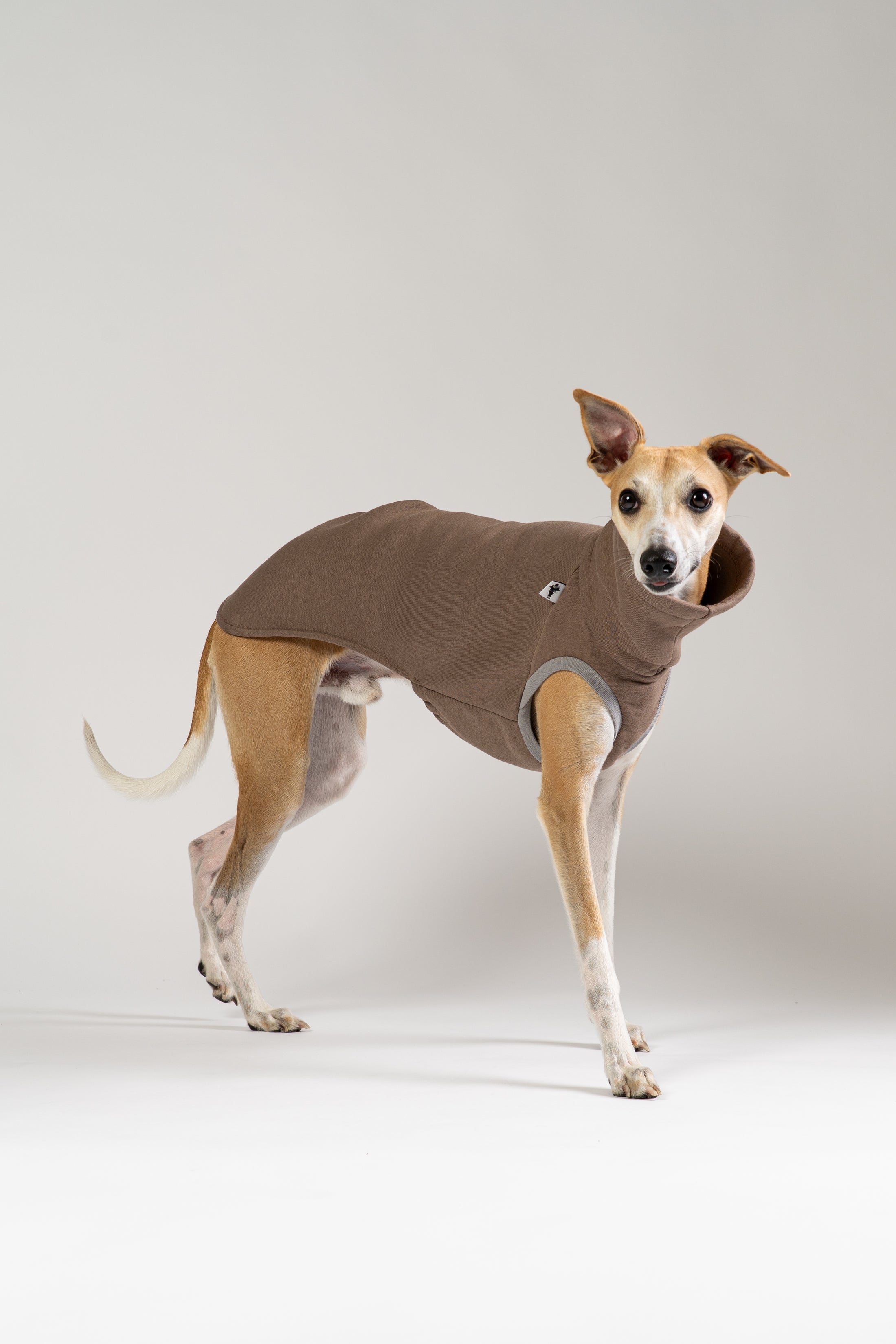 Bequemer brauner Pullover für Whippets von Karma Hund – ideal für kühle Tage.